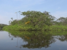Imagen Laguna Cuyabeno